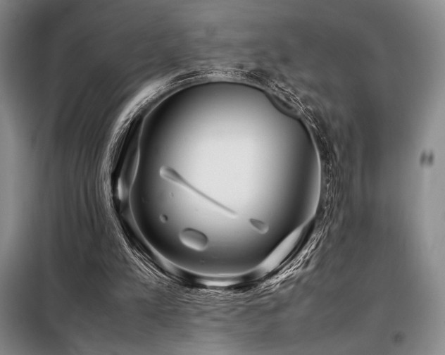 X0000099310197200805021322