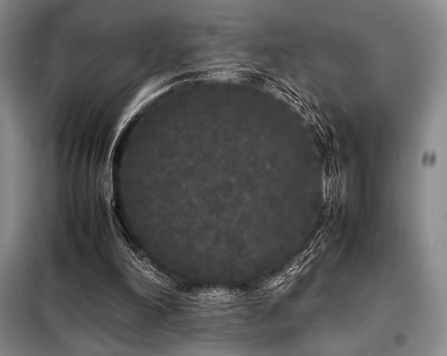 X0000099310198200805021322