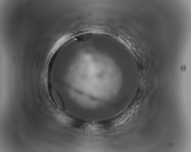 X0000099310199200805021322