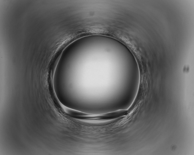 X0000099310201200805021322