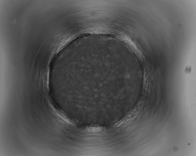 X0000099310202200805021322