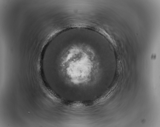X0000099310203200805021322