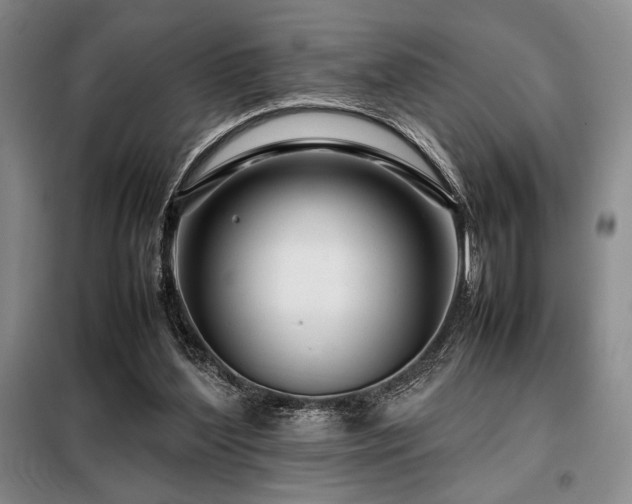 X0000099310204200805021322