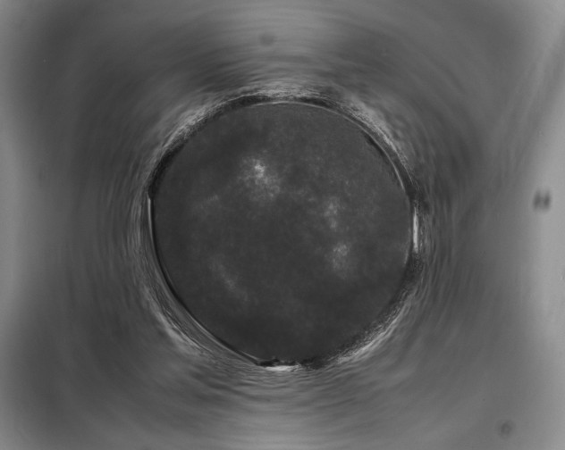 X0000099310205200805021322