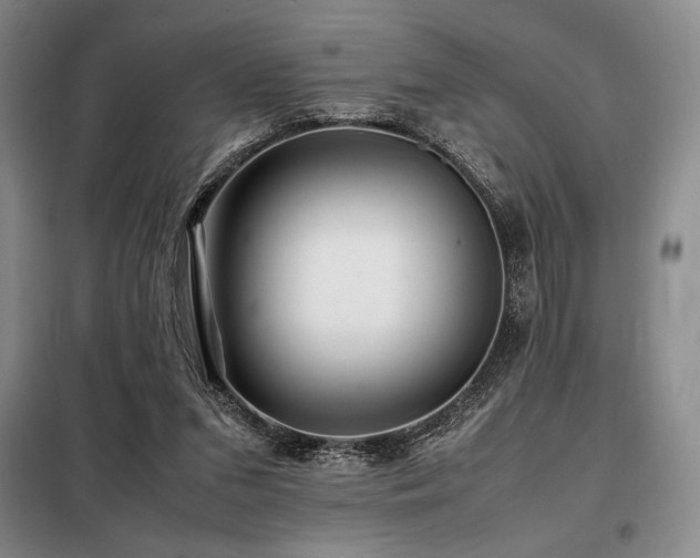 X0000099310207200805021322