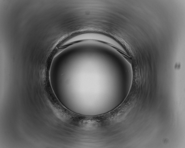 X0000099310208200805021322