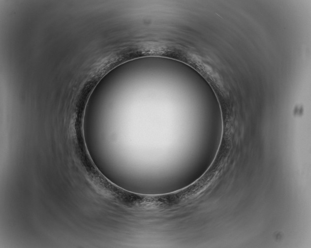 X0000099310209200805021322