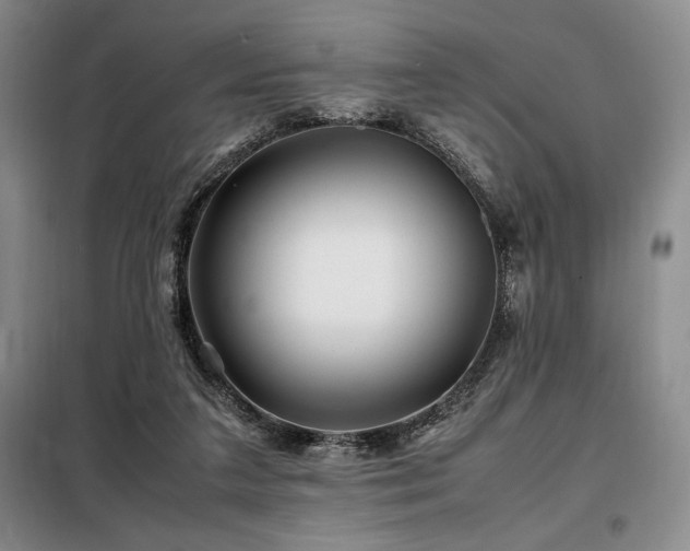 X0000099310211200805021321