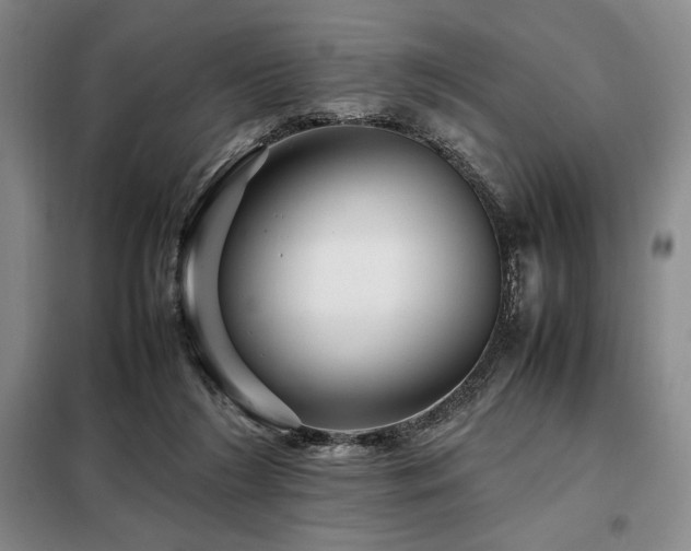 X0000099310212200805021321