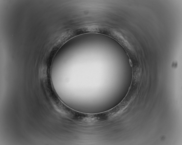 X0000099310213200805021321