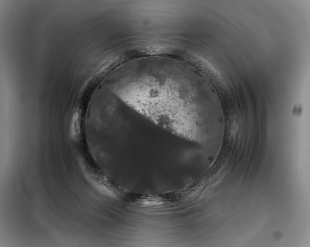X0000099310214200805021321
