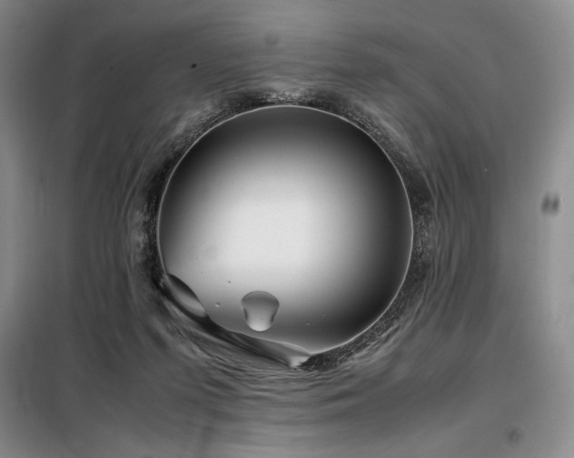X0000099310215200805021321