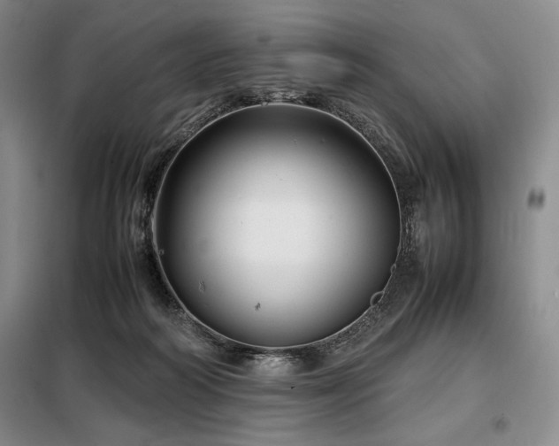 X0000099310218200805021321