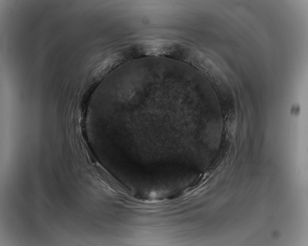 X0000099310219200805021321