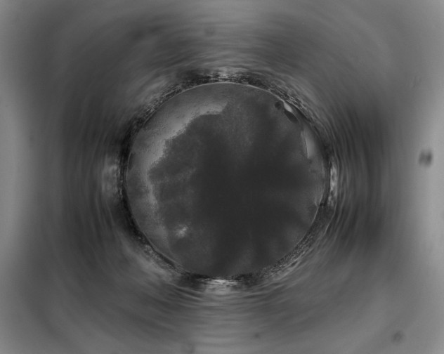 X0000099310222200805021321