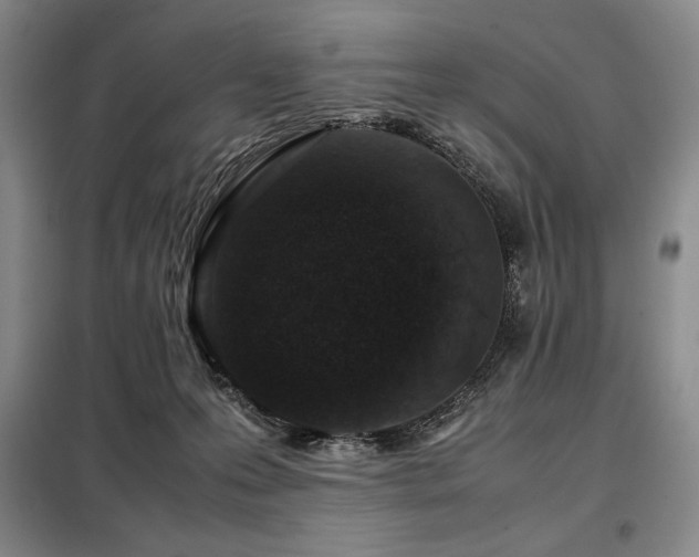 X0000099310223200805021321