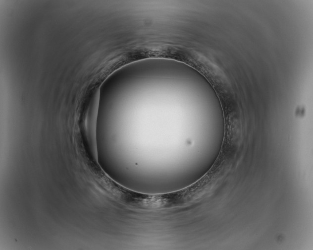 X0000099310225200805021321