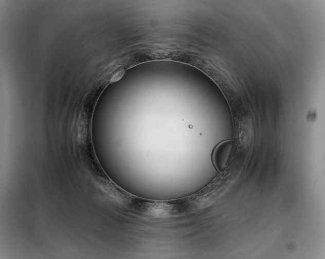 X0000099310226200805021321