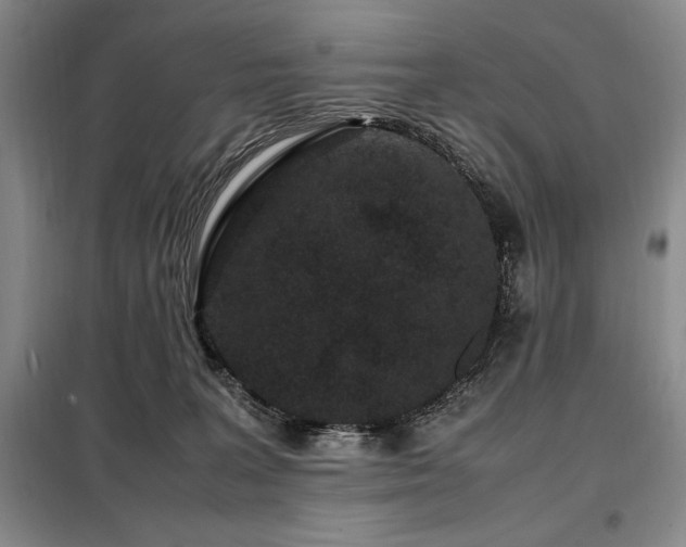X0000099310227200805021321