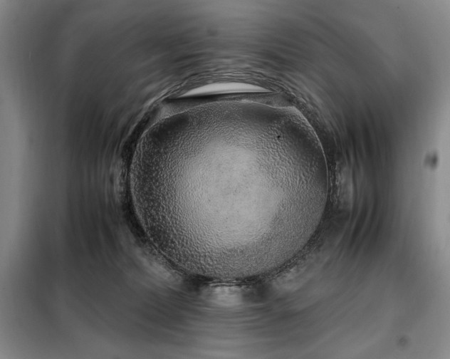 X0000099310228200805021321