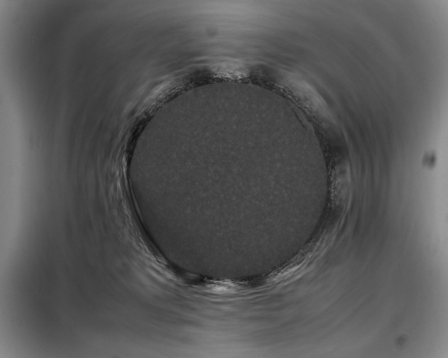 X0000099310229200805021321