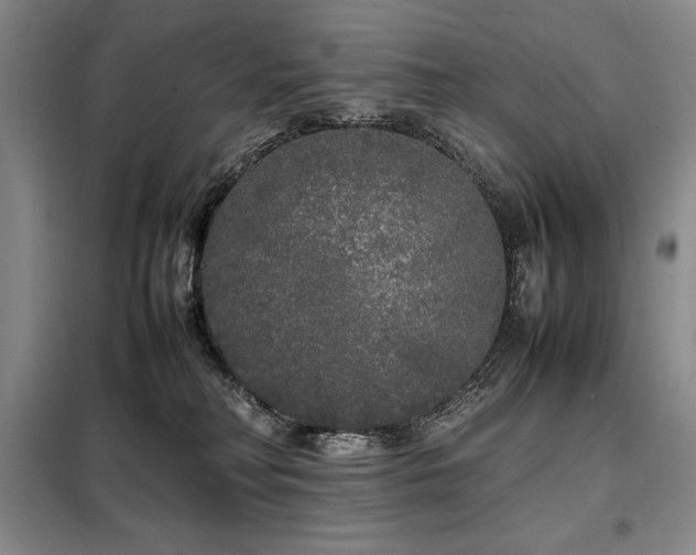 X0000099310230200805021321