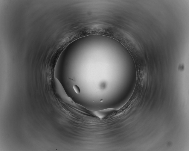 X0000099310232200805021321