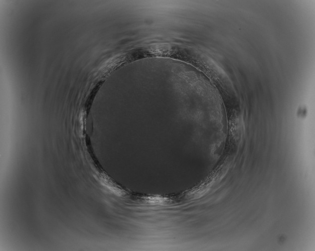 X0000099310233200805021321