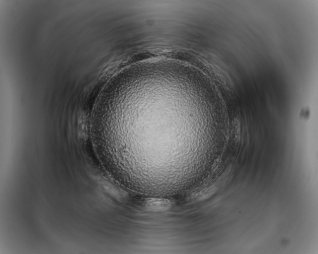 X0000099310234200805021321