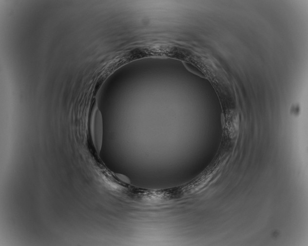 X0000099310235200805021321
