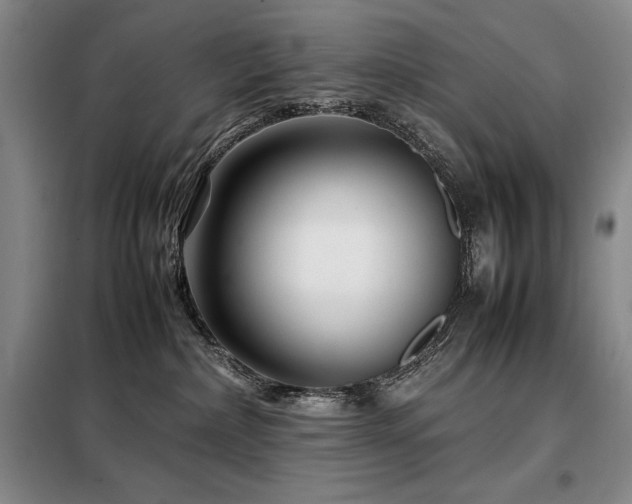 X0000099310236200805021321