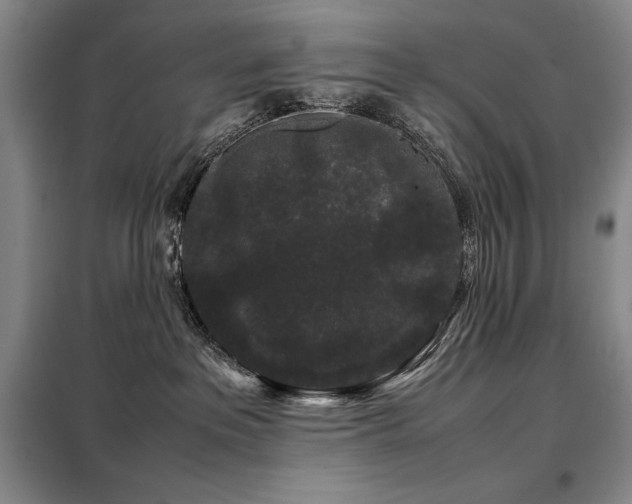 X0000099310237200805021321