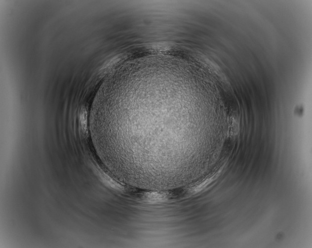 X0000099310238200805021321
