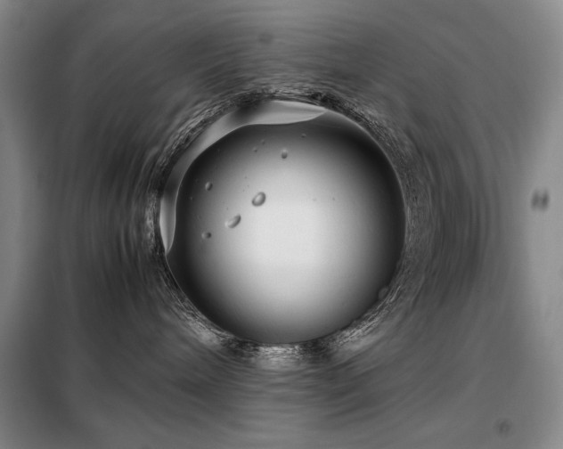 X0000099310240200805021321