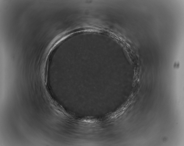 X0000099310247200805021321
