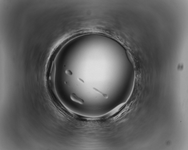 X0000099310248200805021321