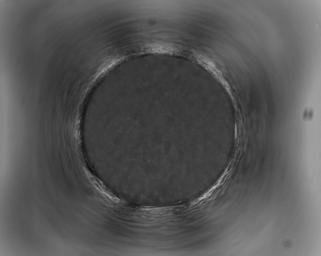 X0000099310249200805021321