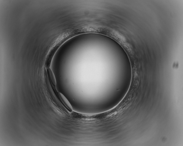X0000099310250200805021321
