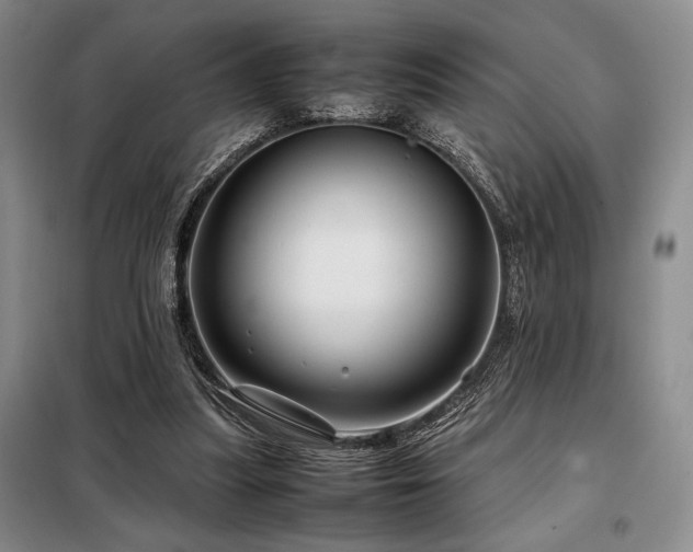 X0000099310251200805021321