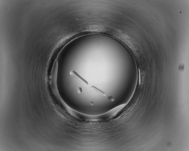 X0000099310252200805021321