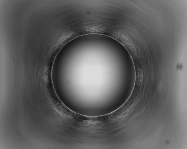 X0000099310255200805021321
