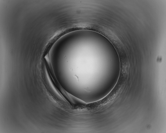 X0000099310256200805021321