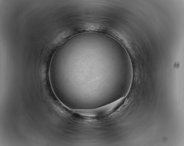 X0000099310257200805021321