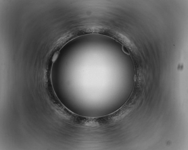X0000099310258200805021321