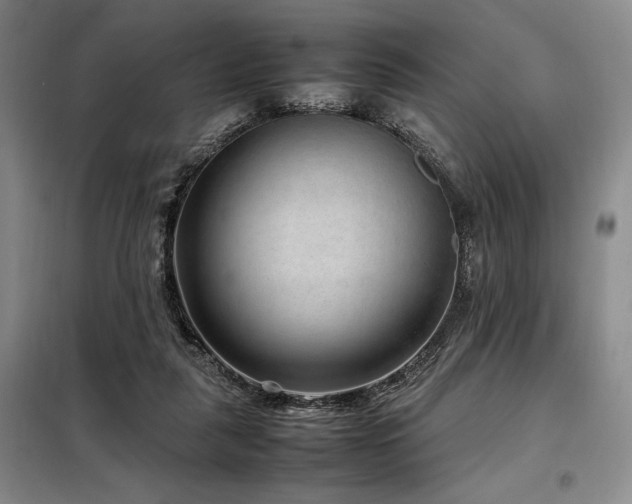 X0000099310259200805021321