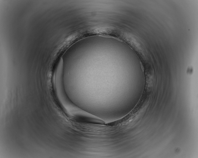 X0000099310260200805021321