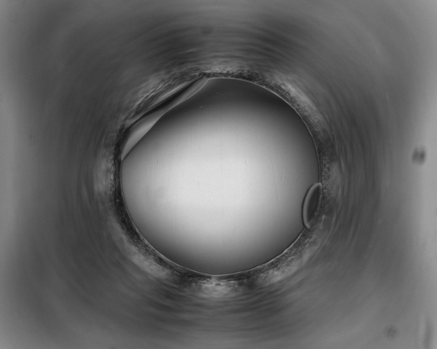 X0000099310261200805021321