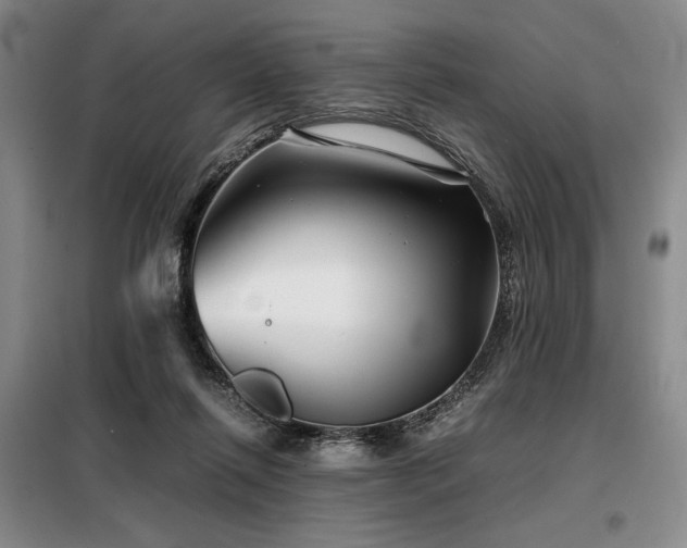 X0000099310262200805021321
