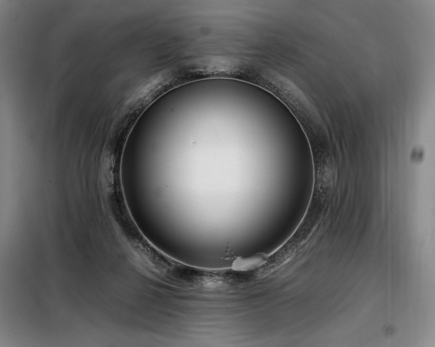 X0000099310264200805021321