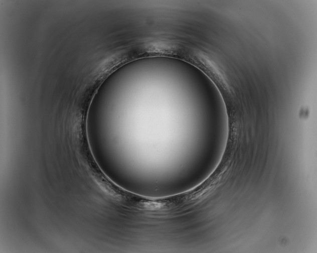 X0000099310265200805021321